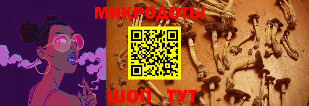 Галлюциногенные грибы Psilocybe  Псилоцибиновые грибы Psilocybe  Вход с VPN  Дятьково 